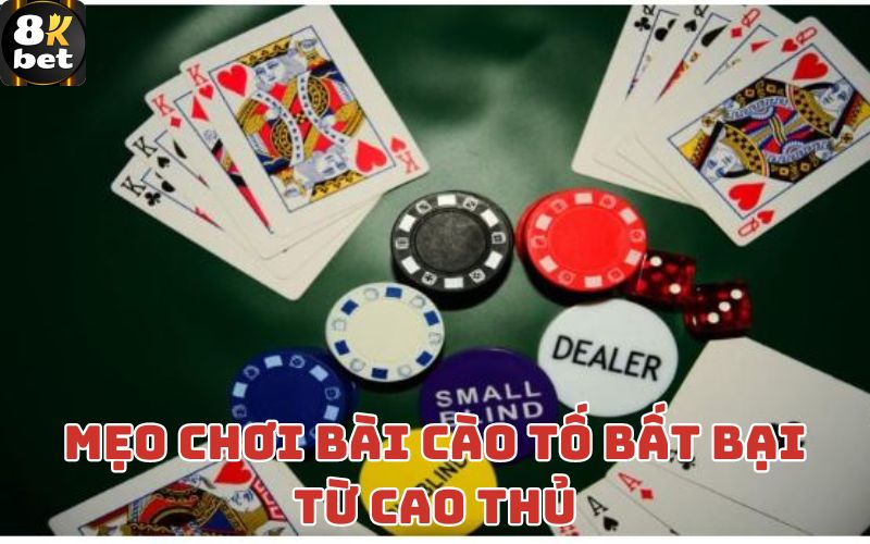 Mẹo chơi bài cào tố bất bại từ cao thủ